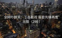 全网吵翻天：丁冬影视 影音先锋再度出圈（290 ）