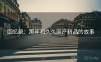 回忆录：那年和久久国产精品的故事
