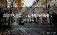 震撼网友：国产SUV精品的离谱细节 · 离谱537