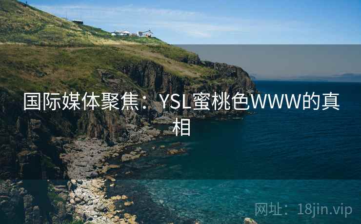 国际媒体聚焦:YSL蜜桃色WWW的真相 国际媒体聚焦:YSL蜜桃色WWW的真相