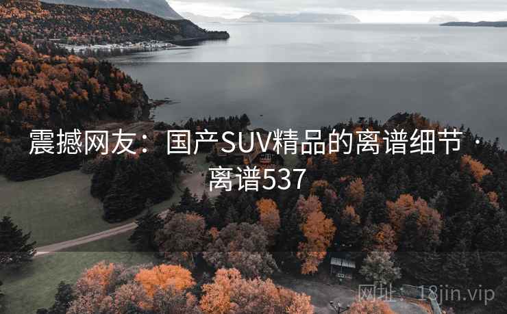 震撼网友：国产SUV精品的离谱细节 · 离谱537